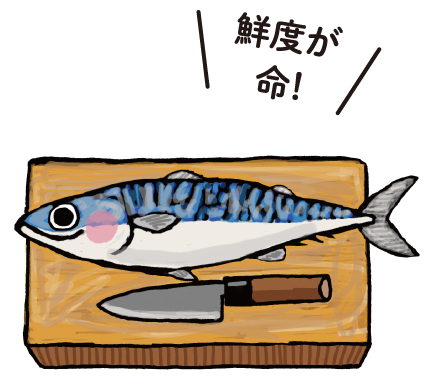 魚による食中毒にならないために、しっかり予防のイラスト